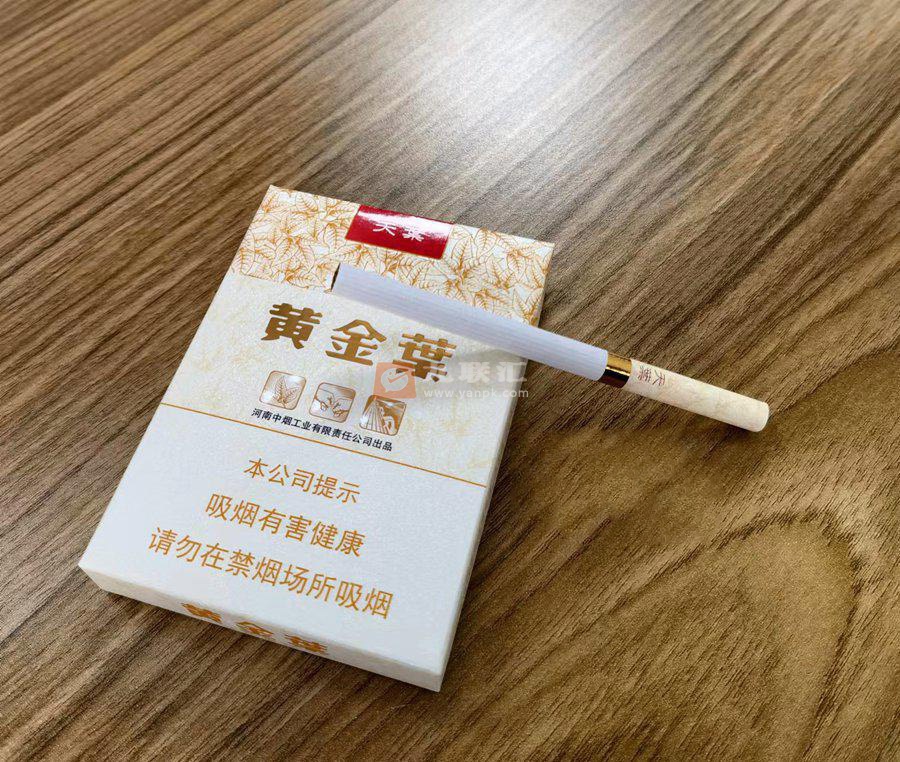 黄金叶(天叶中支)相册 95666_16492