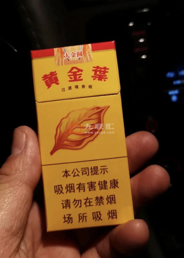 黄金叶大金圆10支装相册 303_24323