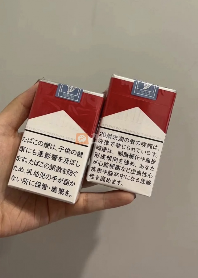 万宝路(软红2.0日版)相册 94457_55403