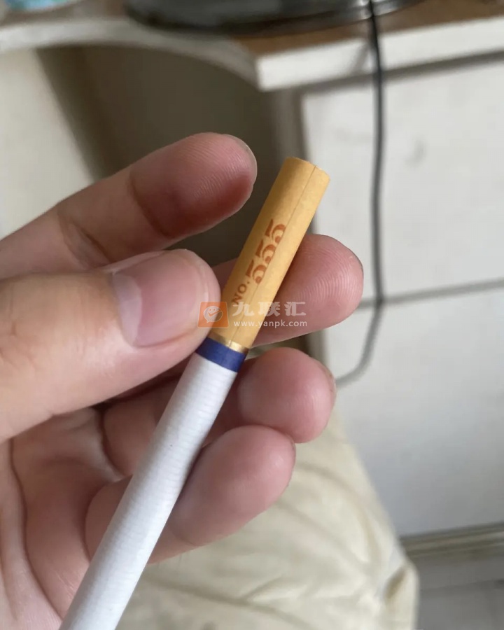 555(金锐亚太版)相册 105472_94039