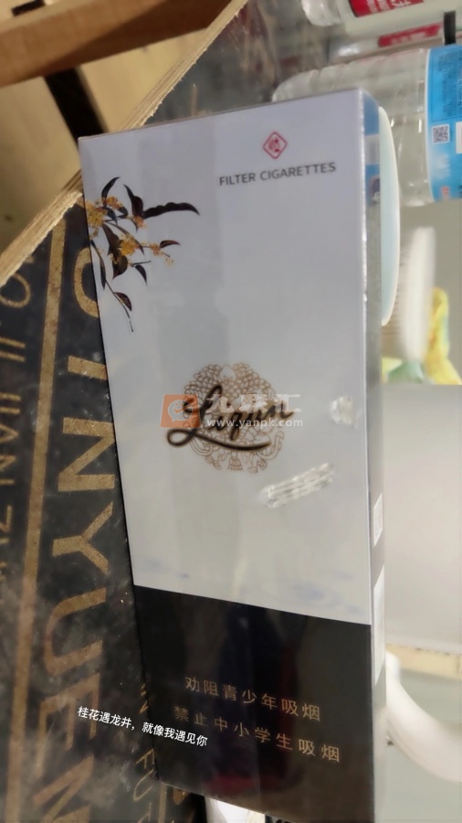 利群(江南韵)相册 93974_12988