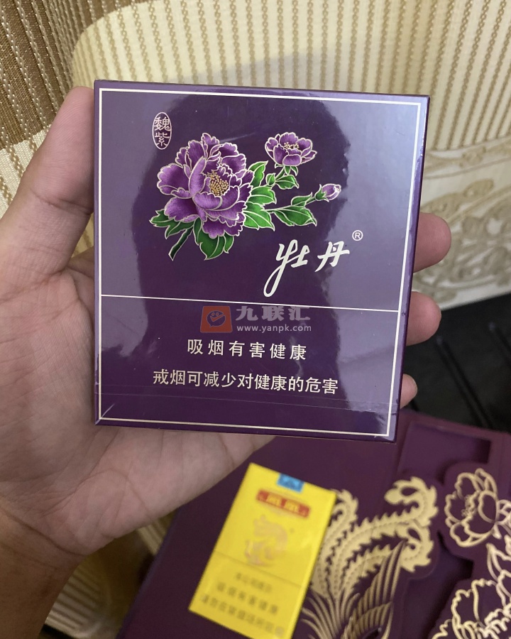 牡丹魏紫相册 92703_87904