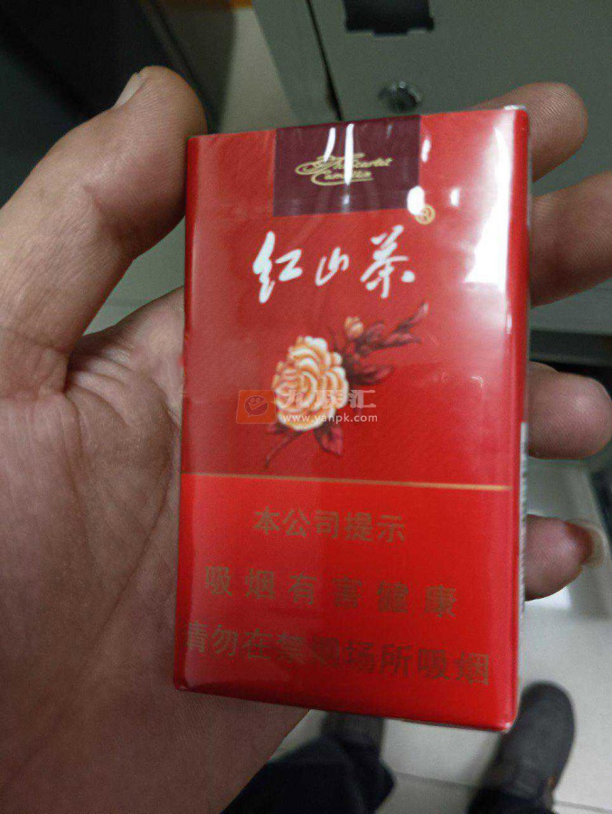 红山茶(软)相册 455_18800