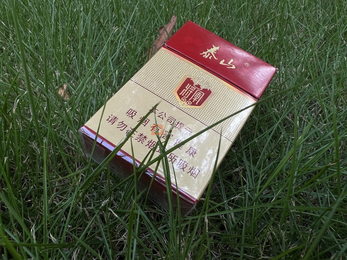 泰山(白将军)相册 1690_88104