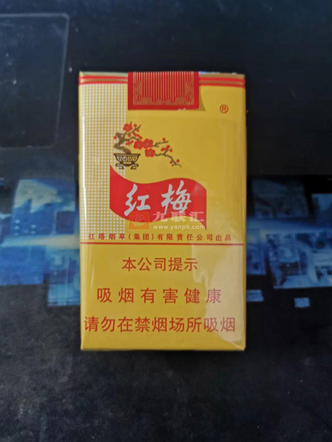 红梅(软黄)相册 333_66953