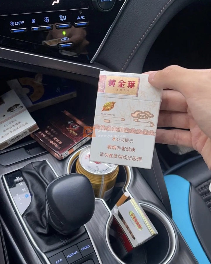 黄金叶(天香中支)相册 95316_77788