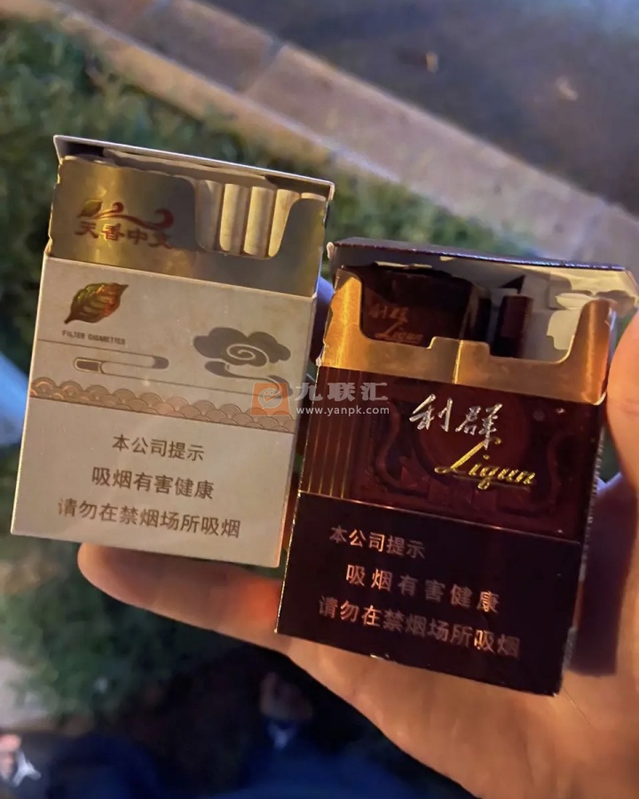 黄金叶(天香中支)相册 95316_14504