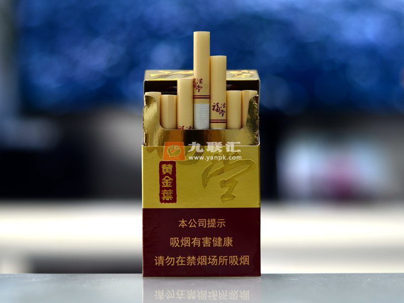 黄金叶硬福满堂.新版相册 92606_42373