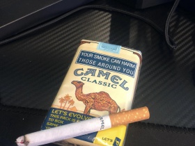 骆驼(软黄南非含税版)