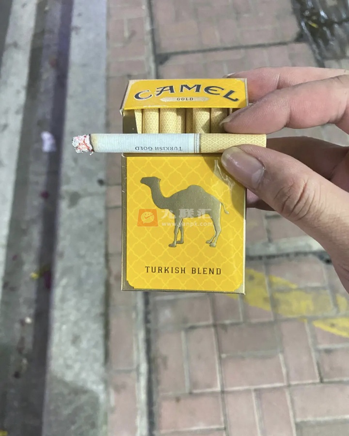 骆驼(皇家硬金)相册 95648_54431