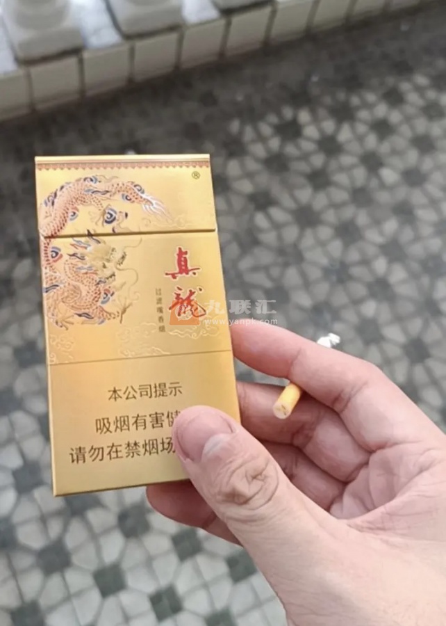 真龙(凌云)相册 5693_19431