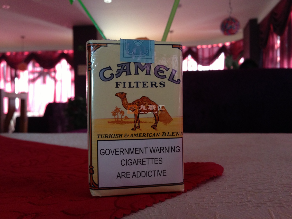 骆驼(软黄)相册 2228_81111