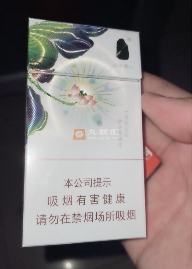 泰山(茶香)相册 93355_75159