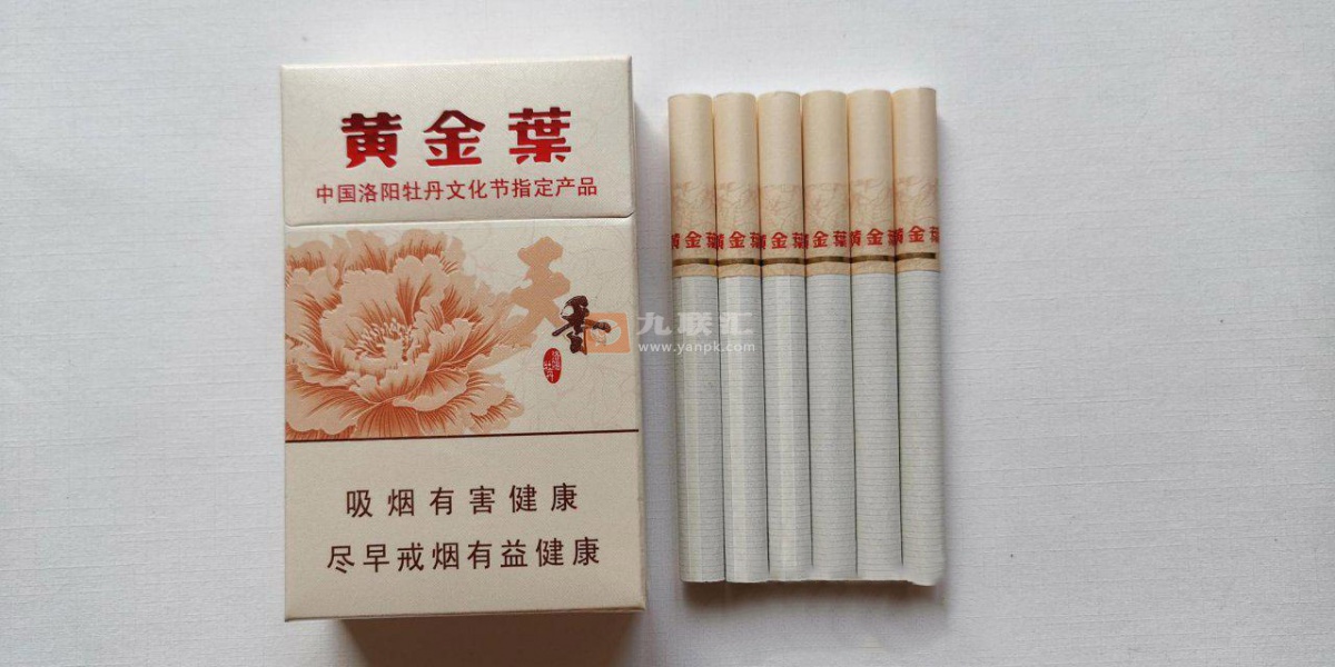 黄金叶(天香.洛阳牡丹文化节)相册 306_85885