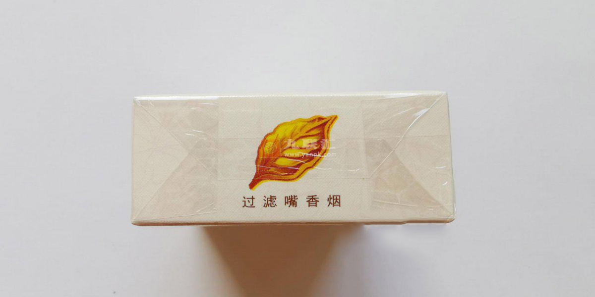 黄金叶(天香.洛阳牡丹文化节)相册 306_46798