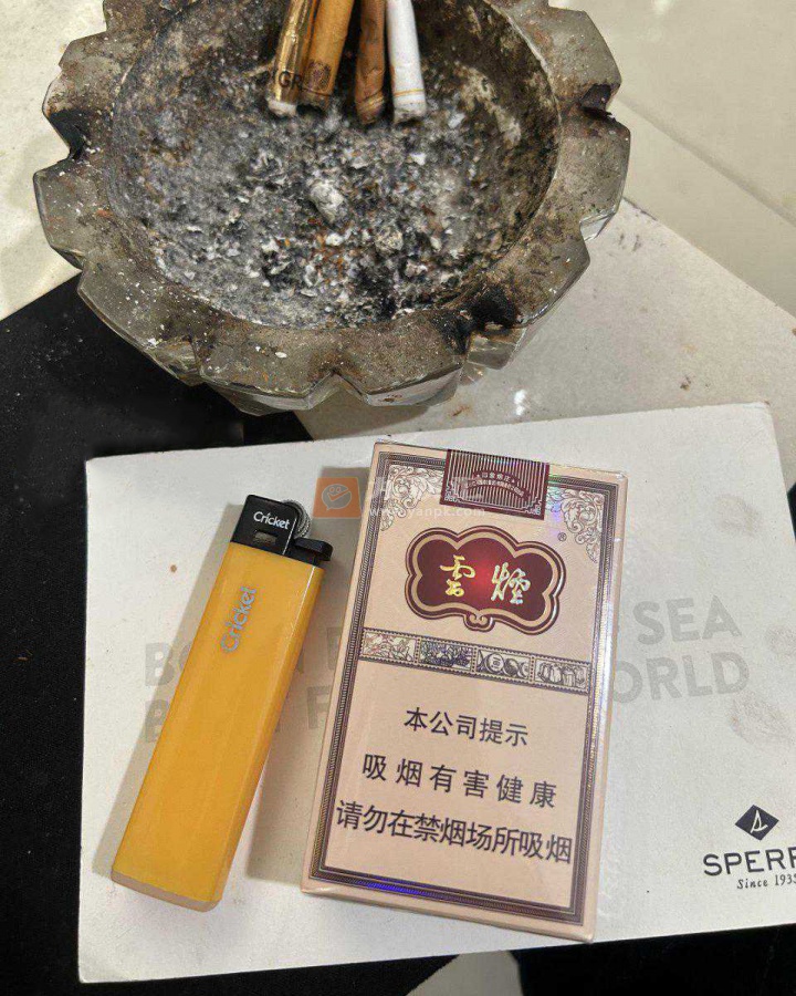 云烟(软印象烟庄)