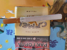 骆驼(硬黄俄罗斯加税版)相册 