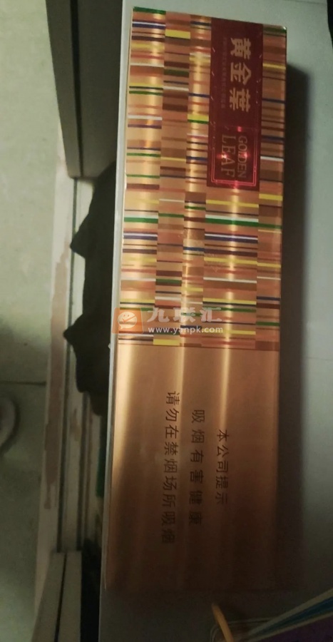 黄金叶(金炫尚)相册 103101_12037