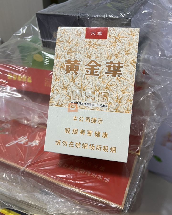 黄金叶(天叶侧旋版)相册 99534_76003