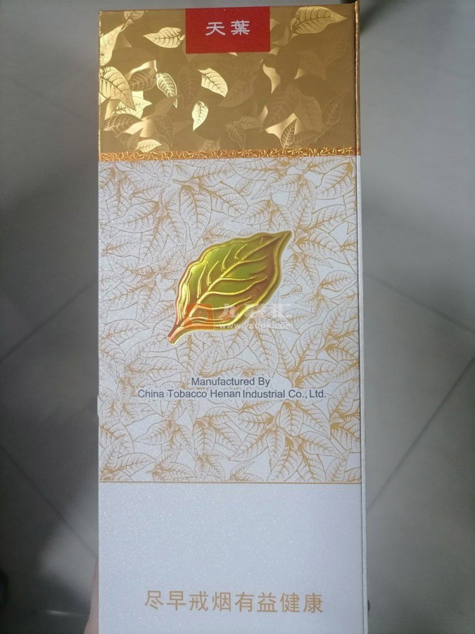 黄金叶(软天叶)相册 106395_46603