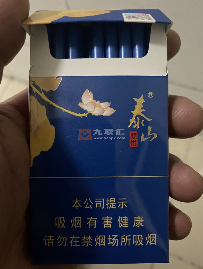 泰山(蓝颜悦)相册 93224_23049