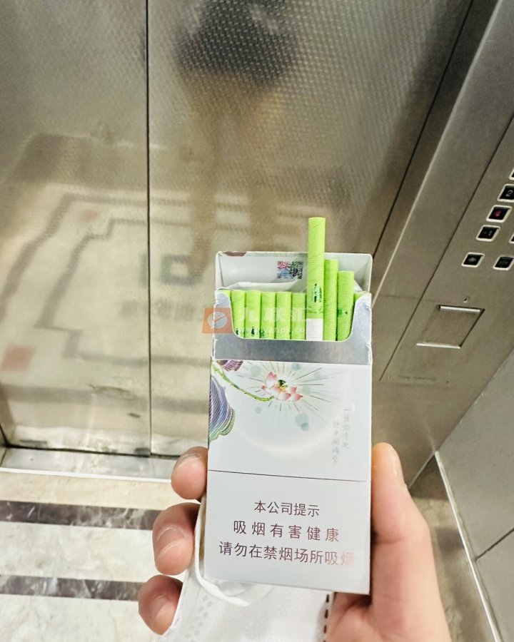 泰山(茉莉香韵)相册 93954_86099