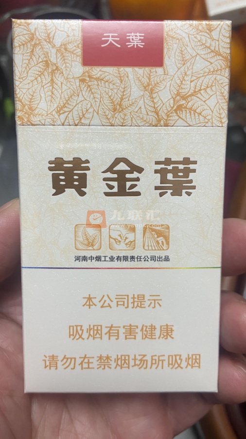 黄金叶(天叶细支)相册 3197_43977