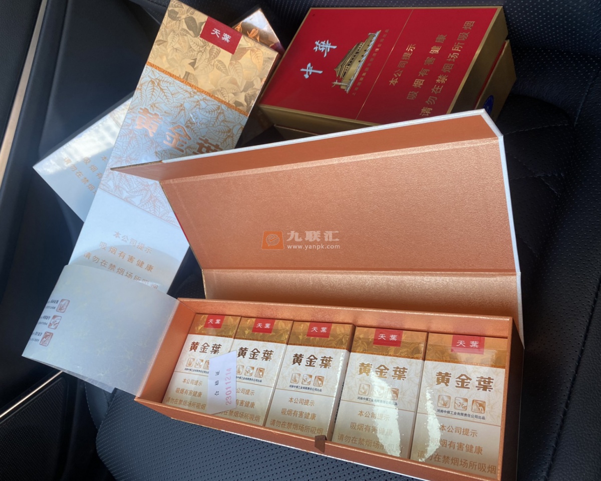 黄金叶(软天叶)相册 106395_62289