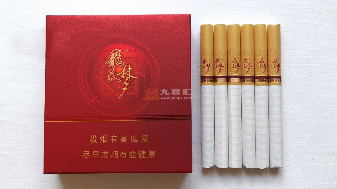 兰州(飞天梦)相册 5754_44148