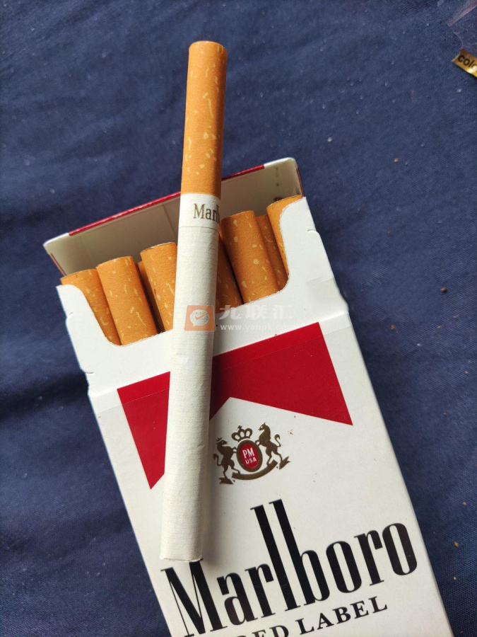 万宝路(美产红标100S)相册 97910_95259