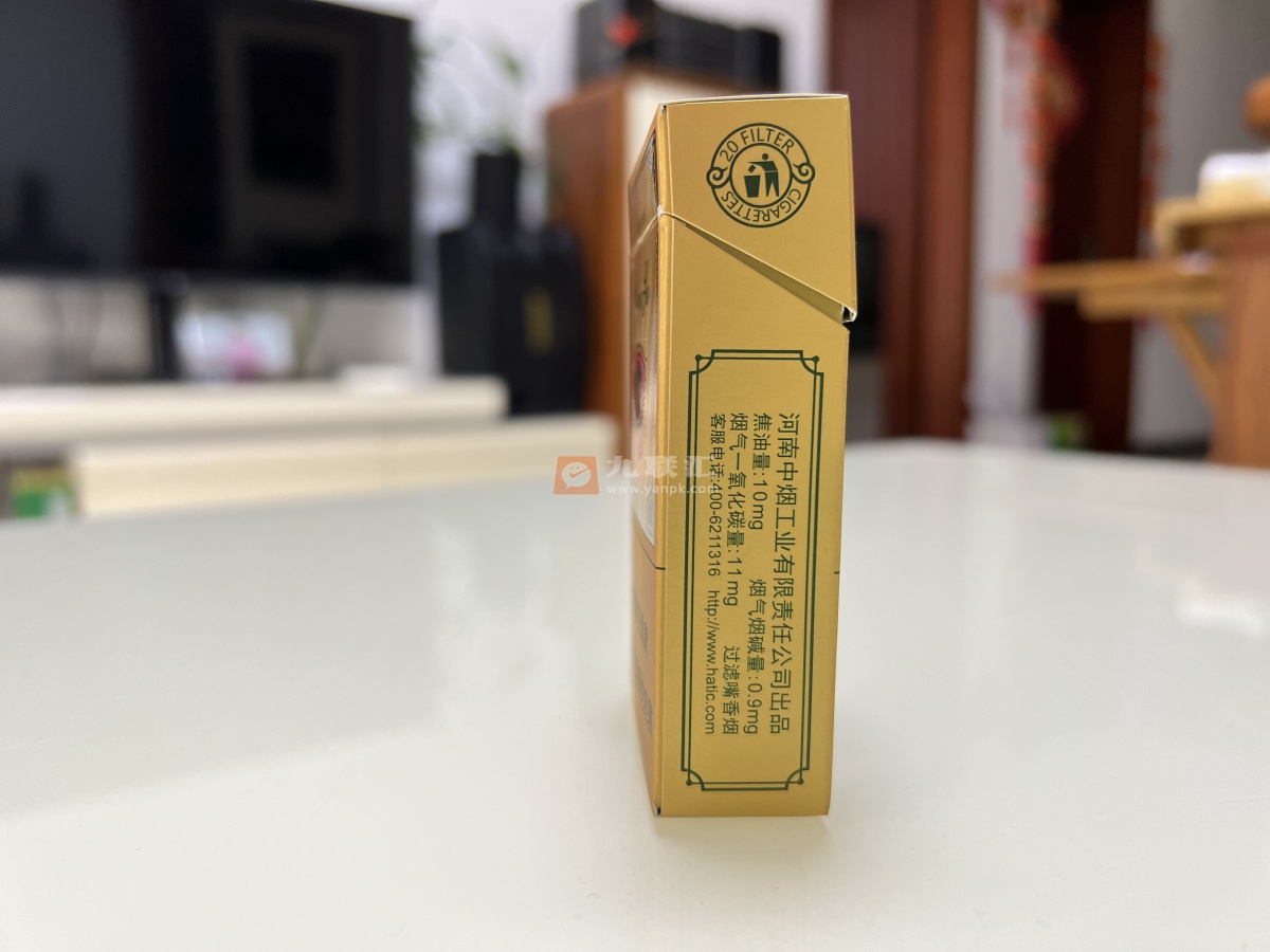 红旗渠(芒果)相册 93481_20258