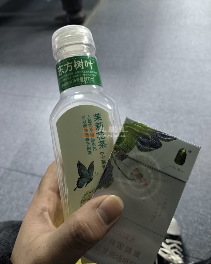 泰山(茶香)相册 93355_76670