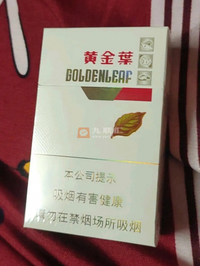 黄金叶金丝路相册 92605_13045