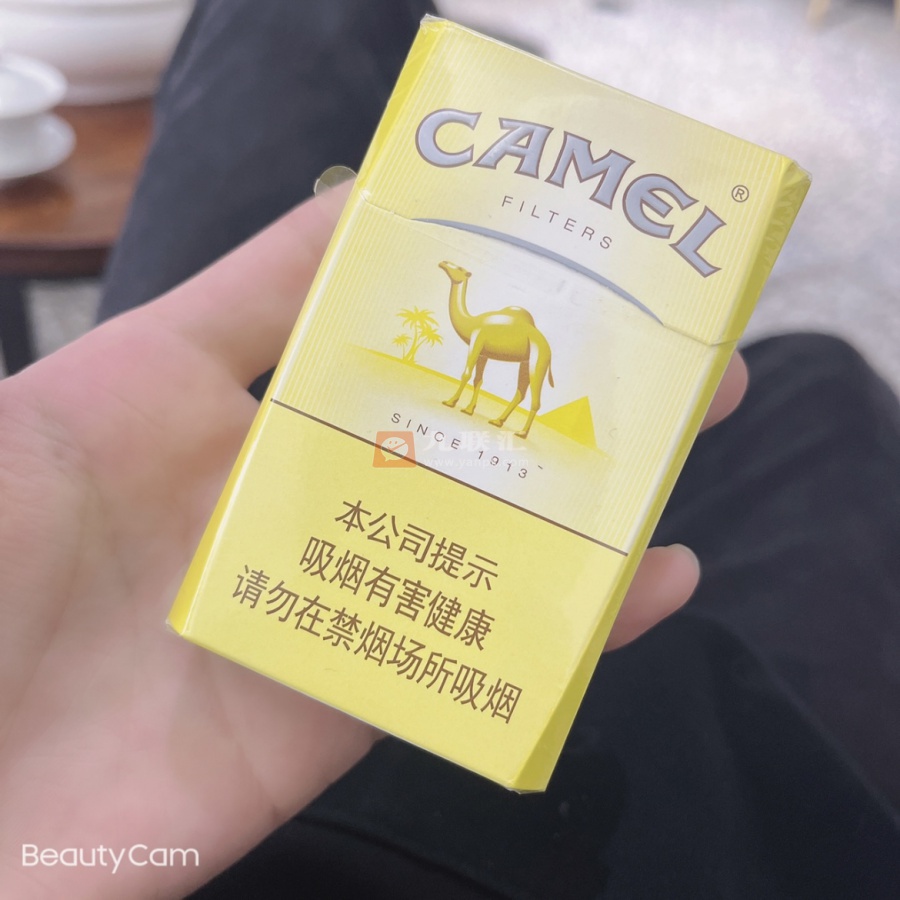 骆驼(硬新版)相册 94743_22801