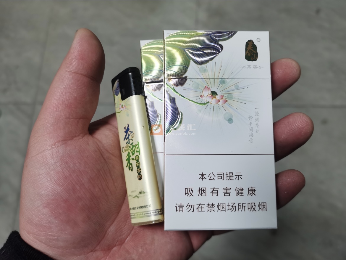 泰山(茉莉香韵)相册 93954_75280