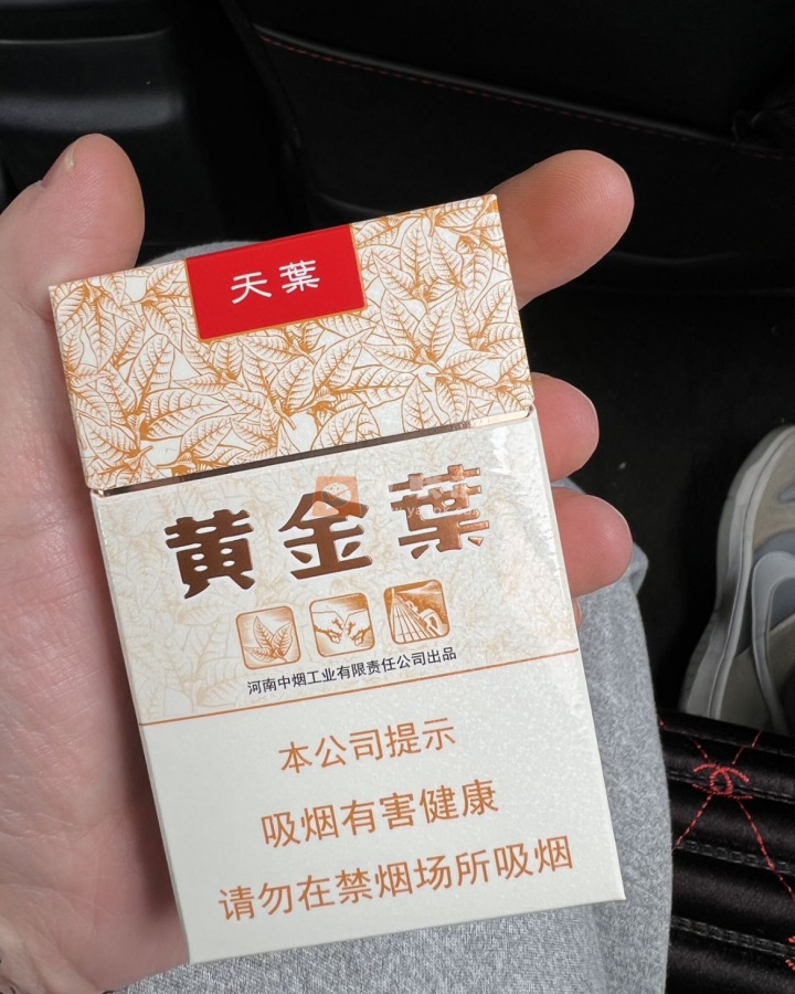 黄金叶(天叶)相册 290_70699