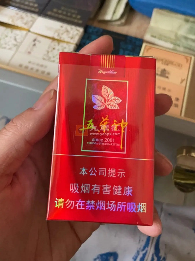 五叶神(软红)相册 900_36026