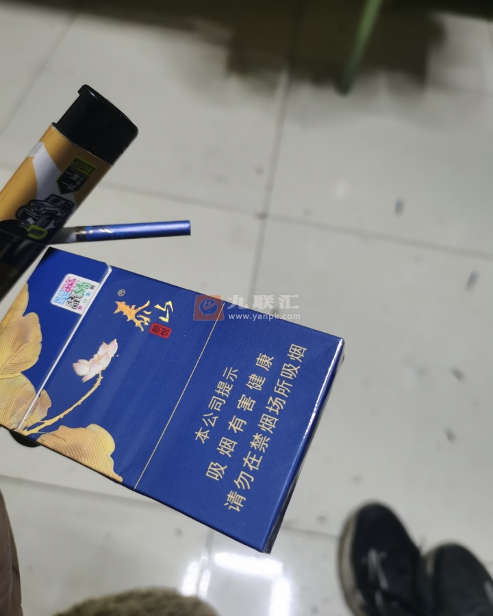 泰山(蓝颜悦)相册 93224_38891