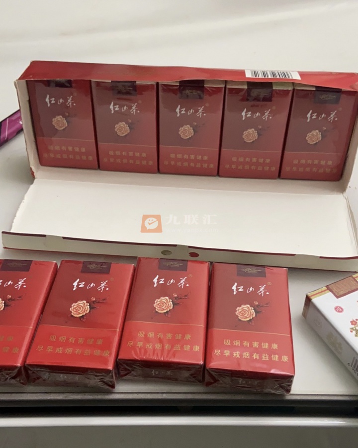 红山茶(软)相册 455_46716