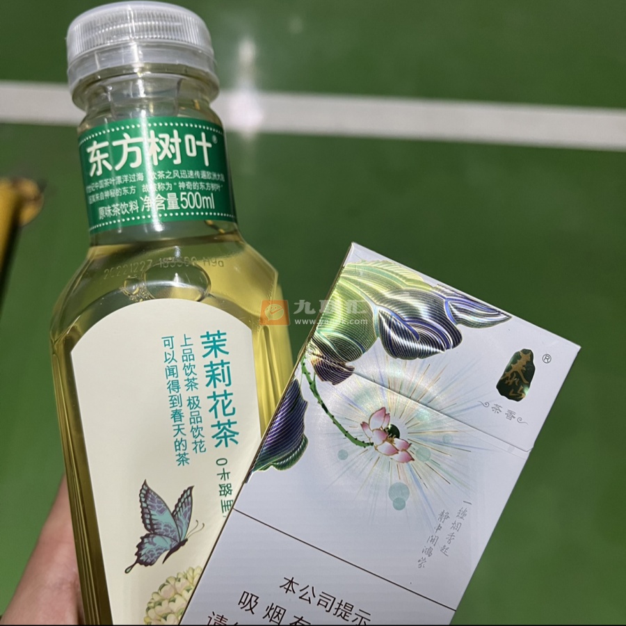 泰山(茉莉香韵)相册 93954_63033