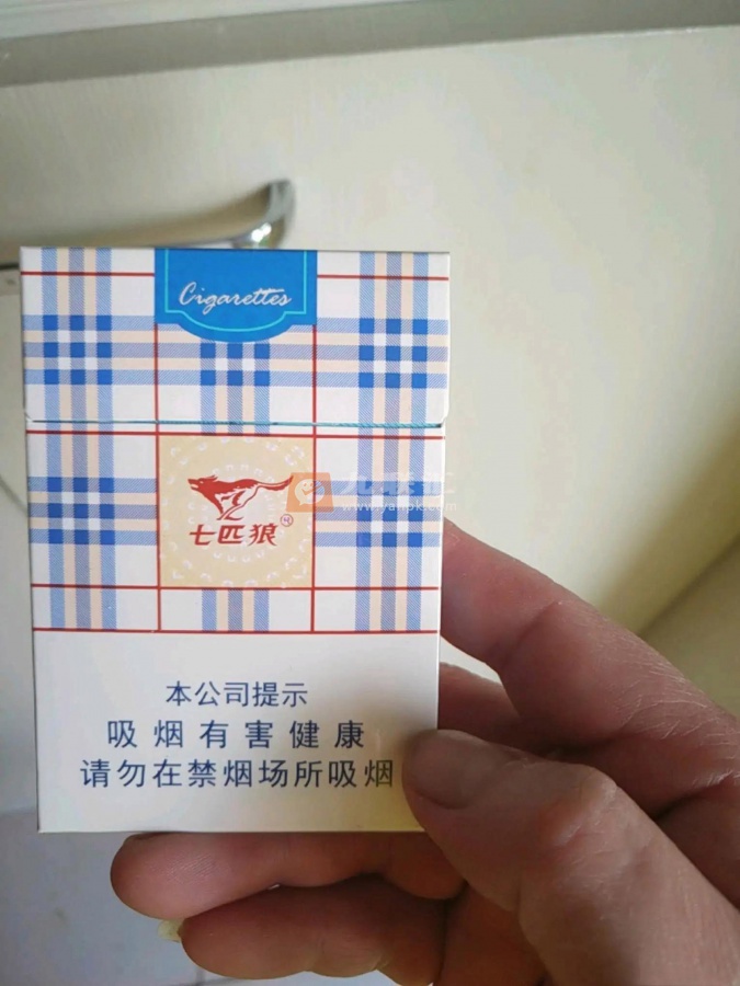 七匹狼(蓝带中支)相册 94104_71259