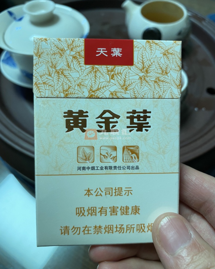 黄金叶(天叶中支)相册 95666_44996