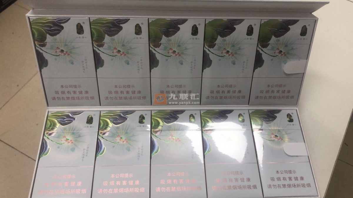 泰山(茉莉香韵)相册 93954_12353