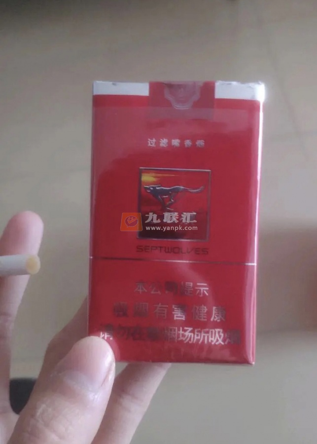 七匹狼(软红银)相册 1630_68845