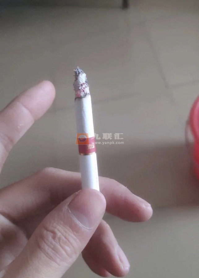 七匹狼(软红银)相册 1630_97764