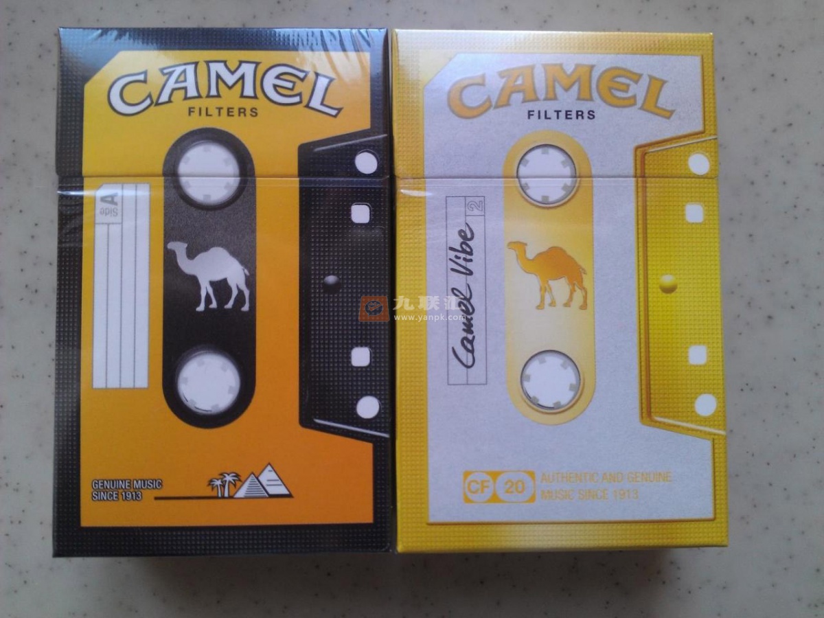 骆驼(哈版音乐骆驼)相册 2232_19000