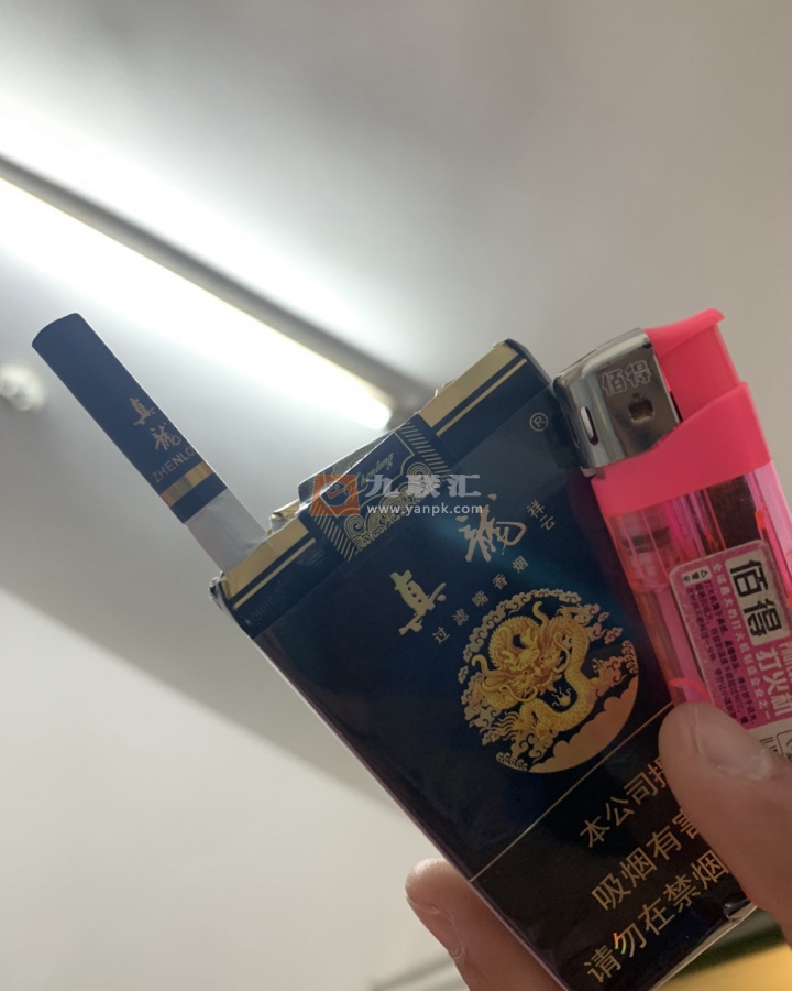 真龙(软祥云)相册 1351_77958