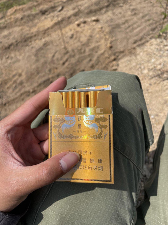 黄鹤楼(硬感恩中支)相册 94070_99409