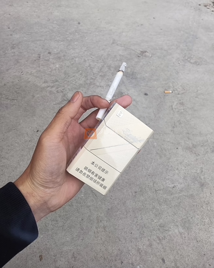 大卫杜夫(金中免版)相册 103179_25542