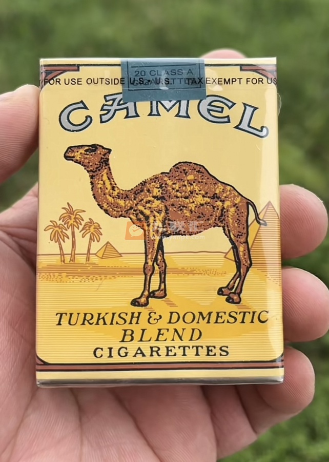 骆驼(无嘴)相册 2227_41028